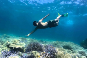 Exclusieve eendaagse tour naar het roze strand van Lombok en 3 Gilis