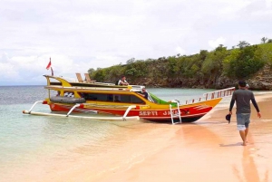 Excursión exclusiva de un día a la Playa Rosa de Lombok y 3 Gilis