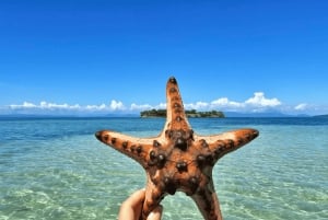 Exclusive One-Day Tour to Lombok's Pink Beach and 3 Gilis