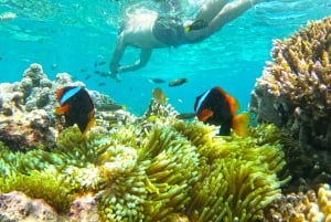 Excursion exclusive d'une journée à la plage rose de Lombok et aux 3 Gilis