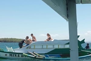 Exklusive private Tour zum Pink Beach mit Schnorcheln