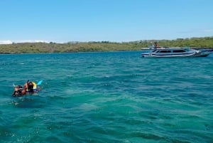 Exklusive private Tour zum Pink Beach mit Schnorcheln