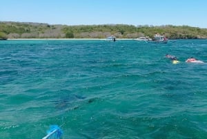 Exklusive private Tour zum Pink Beach mit Schnorcheln