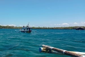 Exklusive private Tour zum Pink Beach mit Schnorcheln