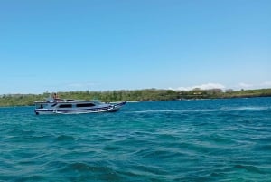 Exklusive private Tour zum Pink Beach mit Schnorcheln