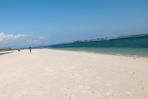Exklusive private Tour zum Pink Beach mit Schnorcheln