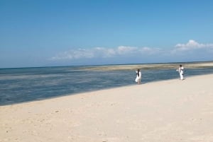 Exklusive private Tour zum Pink Beach mit Schnorcheln