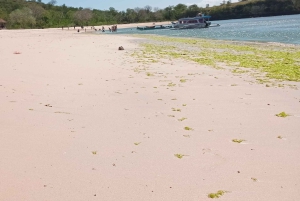 Exklusive private Tour zum Pink Beach mit Schnorcheln