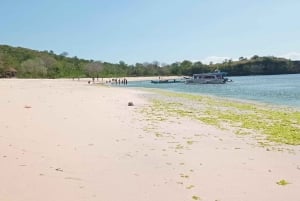Exklusive private Tour zum Pink Beach mit Schnorcheln