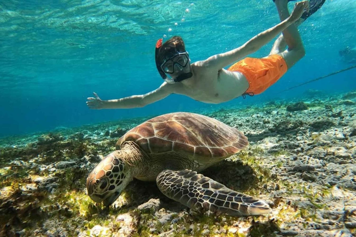 Exclusive Snorkeling trip Gili Terawangan Meno and Air