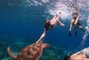 Excursión exclusiva de snorkel a Gili Terawangan Meno y Air.