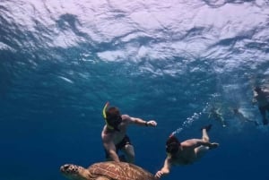 Excursión exclusiva de snorkel a Gili Terawangan Meno y Air.