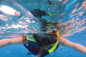Excursión exclusiva de snorkel a Gili Terawangan Meno y Air.