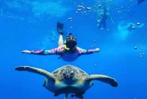 Excursión exclusiva de snorkel a Gili Terawangan Meno y Air.