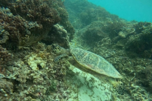 Exclusive Snorkeling trip Gili Terawangan Meno and Air