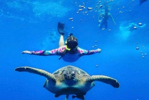 Exclusive Snorkeling trip Gili Terawangan Meno and Air