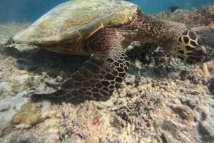 Exclusive Snorkeling trip Gili Terawangan Meno and Air