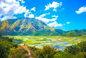 Lombok: Ekskluzywna wycieczka Sendang Gile, Tiu Kelep i Selong Hill Tour