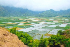 Lombok: Tour esclusivo di Sendang Gile, Tiu Kelep e Selong Hill