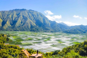 Lombok: Tour esclusivo di Sendang Gile, Tiu Kelep e Selong Hill