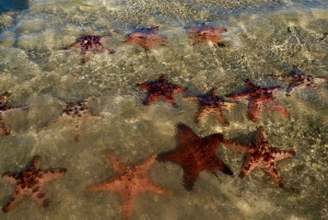 Exotic Escape Island : Pink Beach and Snorkeling Daily Tour