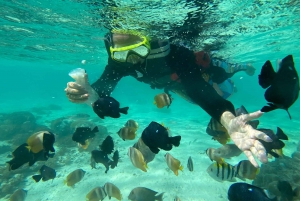 Exotic Escape Island : Pink Beach and Snorkeling Daily Tour