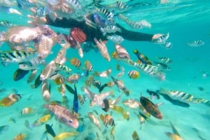 Exotic Escape Island: Pink Beach und Schnorcheln Tagestour