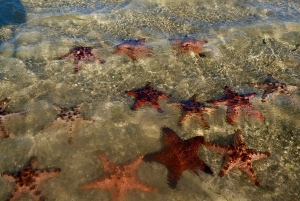Exotic Escape Island : Pink Beach and Snorkeling Daily Tour