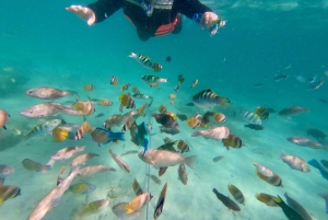 Exotic Escape Island : Pink Beach and Snorkeling Daily Tour