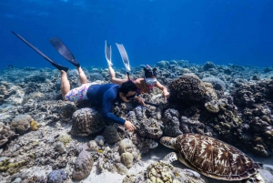 Explora Gili (Trawangan, Air y Meno)