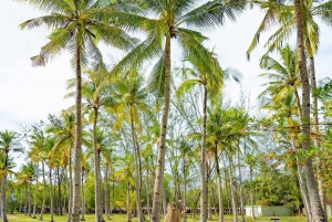 Udforsk Gili (Trawangan, Air & Meno)