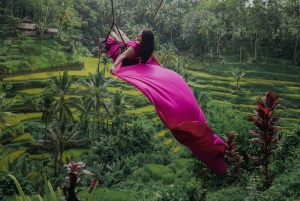 Explore a floresta dos macacos, a melhor cachoeira em torno de ubud e o swing