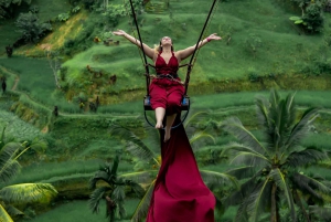 Entdecke den Affenwald, den besten Wasserfall in Ubud und die Schaukel