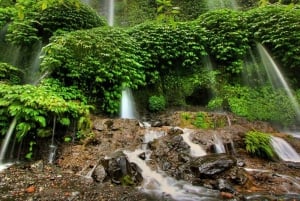 Explore as maravilhas de Benang Kelambu e Benang Stokel