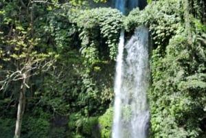 滝を探索する シンダンギラとティウケレップのツアー