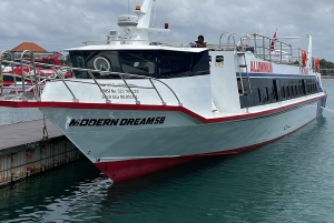 Fast Boat Transfer: Bangsal & Gili Islands to Nusa Penida