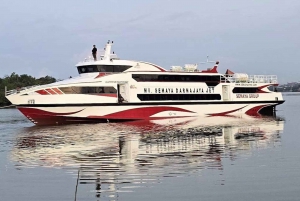 Transfert en bateau rapide (aller simple) vers les îles Gili Lombok