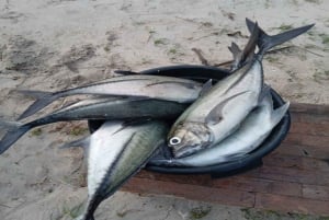 Gili Trawangan : Gita di pesca