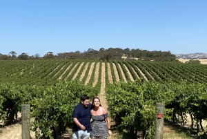 From Adelaide: Hahndorf and Barossa Valley with Winery Lunch