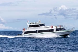 Von Bali aus: 1-Weg Speedboat Transfer nach Gili Air