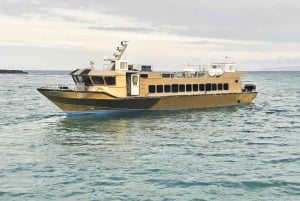 Depuis Bali : Transfert simple en bateau rapide vers Gili Air