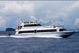 Depuis Bali : Transfert simple en bateau rapide vers Gili Air