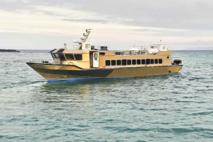 Vanaf Bali: 1-Weg Speedboot Transfer naar Gili Trawangan