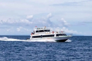 Bali : transfert en bateau rapide vers l'île de Gili et Lombok