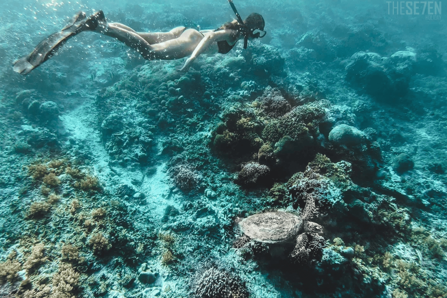 From Bali: 2-Day Gili Trawangan Tour with Hotel & Snorkel