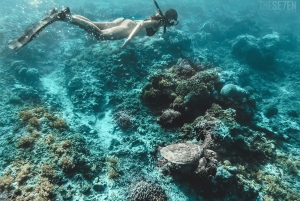 From Bali: 2-Day Gili Trawangan Tour with Hotel & Snorkel