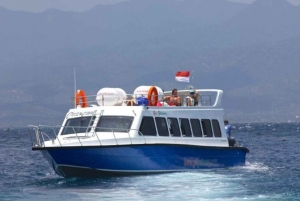 From Bali: 2-Day Gili Trawangan Tour with Hotel & Snorkel