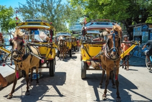 From Bali: 2-Day Gili Trawangan Tour with Hotel & Snorkel