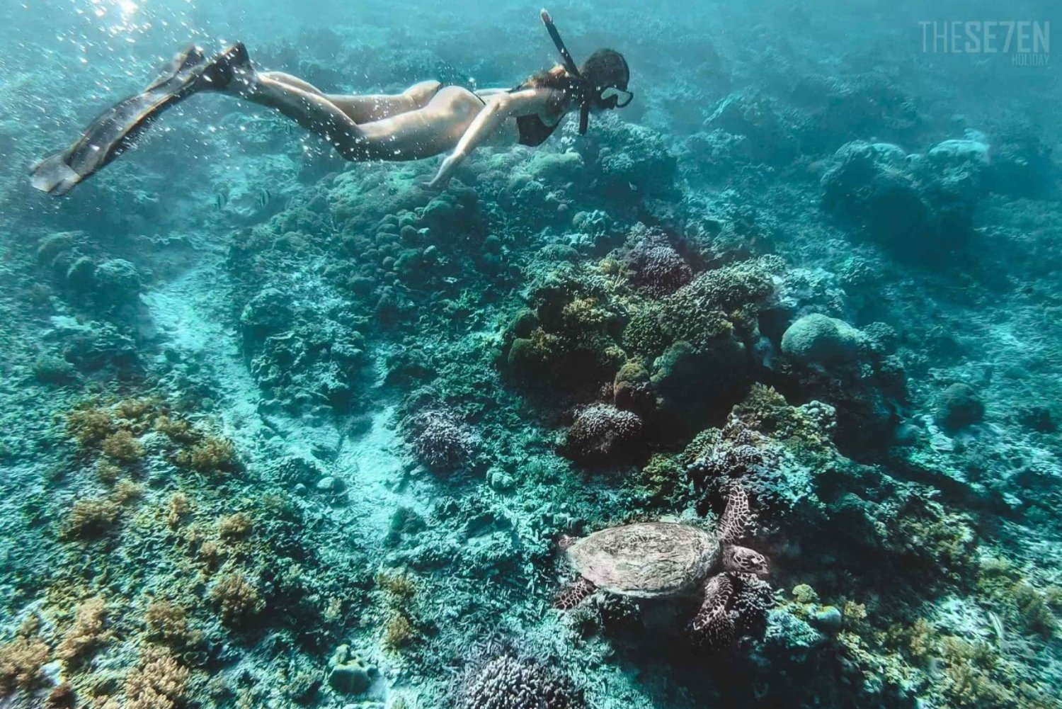 From Bali: 2-Day Private Gili Island Snorkel Tour with Hotel