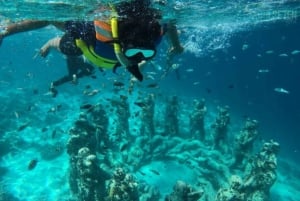 Fra Bali: 2-dages privat snorkeltur på Gili Island med hotel